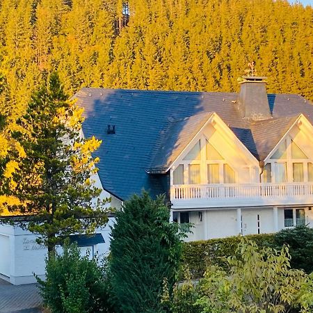 Landhaus Muehlenberg Willingen  Dış mekan fotoğraf