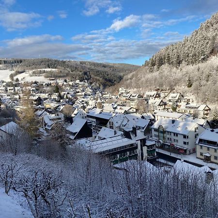 Landhaus Muehlenberg Willingen  Dış mekan fotoğraf