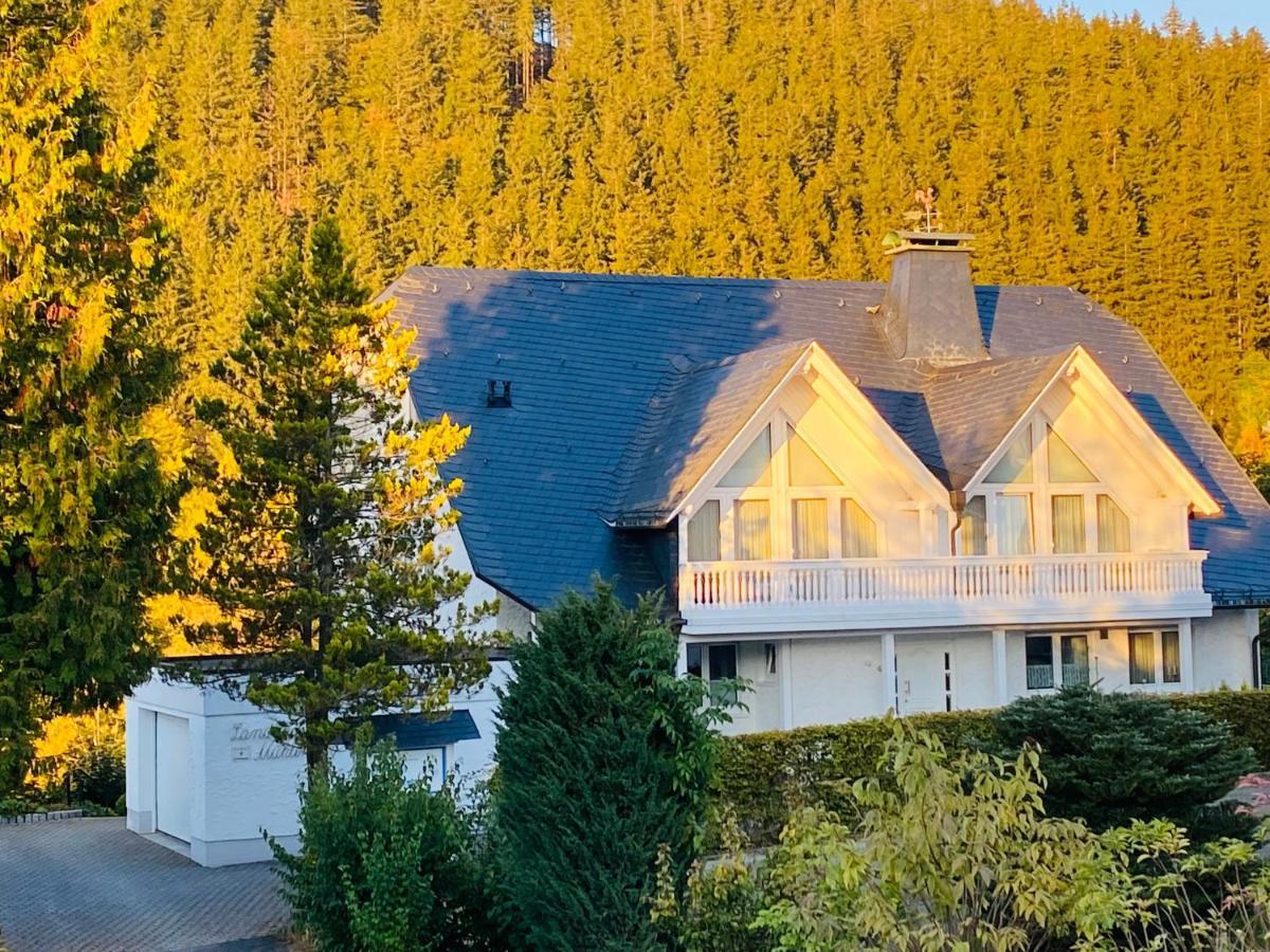 Landhaus Muehlenberg Willingen  Dış mekan fotoğraf