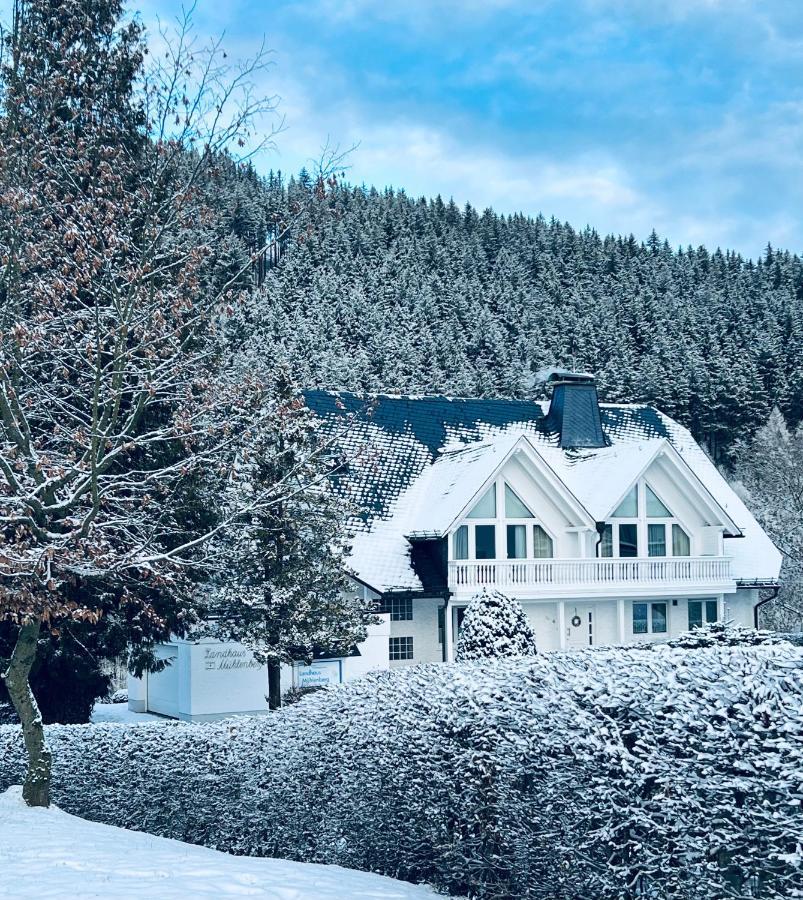 Landhaus Muehlenberg Willingen  Dış mekan fotoğraf