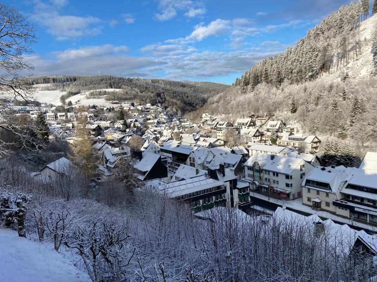 Landhaus Muehlenberg Willingen  Dış mekan fotoğraf