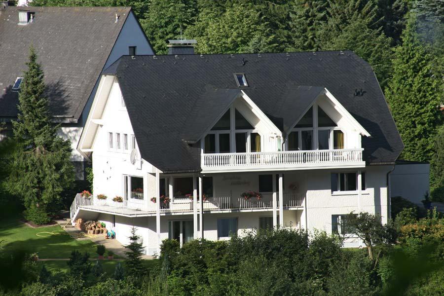 Landhaus Muehlenberg Willingen  Dış mekan fotoğraf